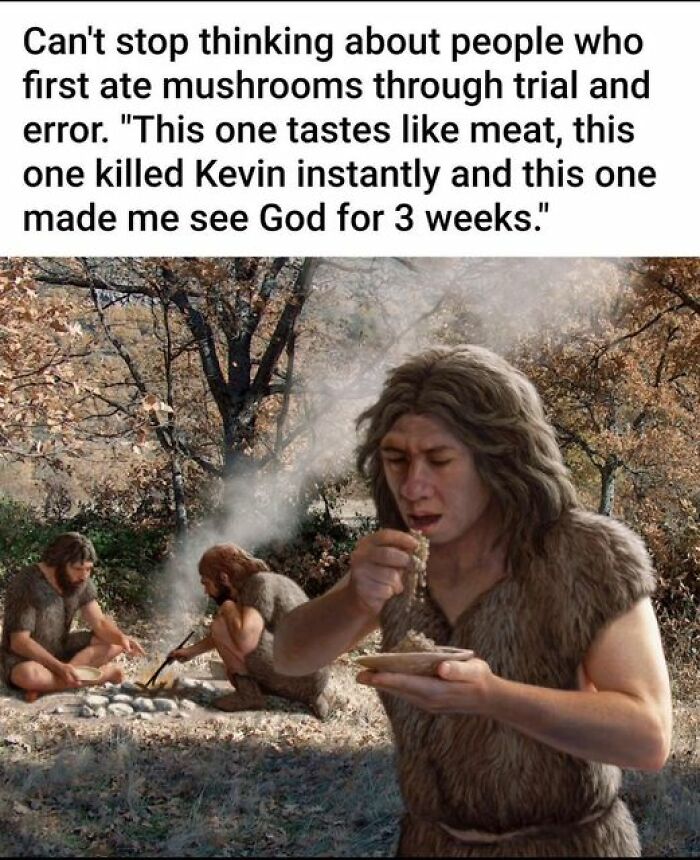 50 Funny Memes For Those Who Love A Good Giggle 50 Funny Memes For Those Who Love A Good Giggle