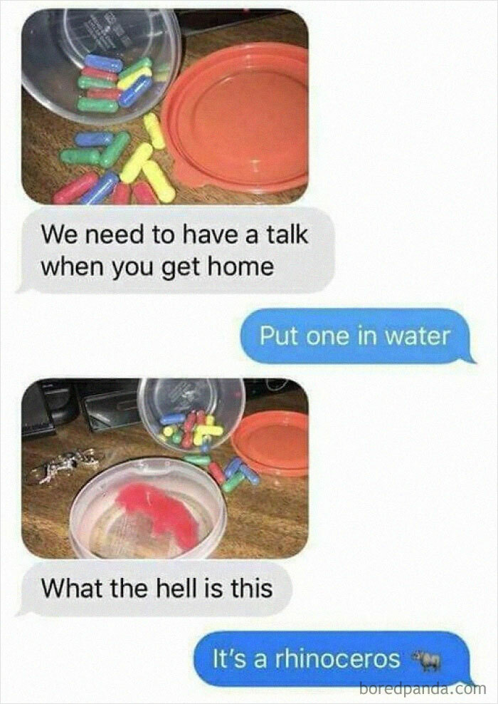 50 Funny Memes For Those Who Love A Good Giggle 50 Funny Memes For Those Who Love A Good Giggle