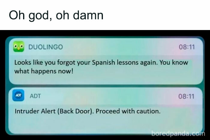 50 Funny Memes For Those Who Love A Good Giggle 50 Funny Memes For Those Who Love A Good Giggle