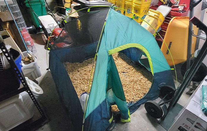 50 People Who Were Not Messing Around When Preparing For Severe Weather 50 People Who Were Not Messing Around When Preparing For Severe Weather