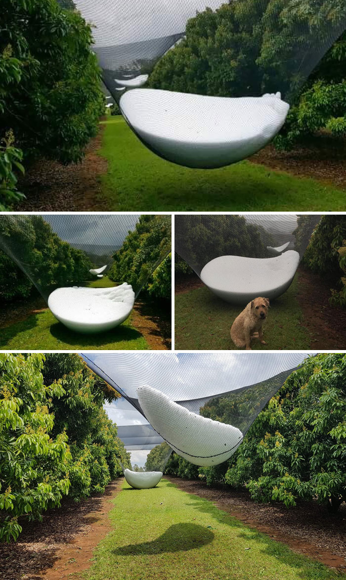 50 People Who Were Not Messing Around When Preparing For Severe Weather 50 People Who Were Not Messing Around When Preparing For Severe Weather