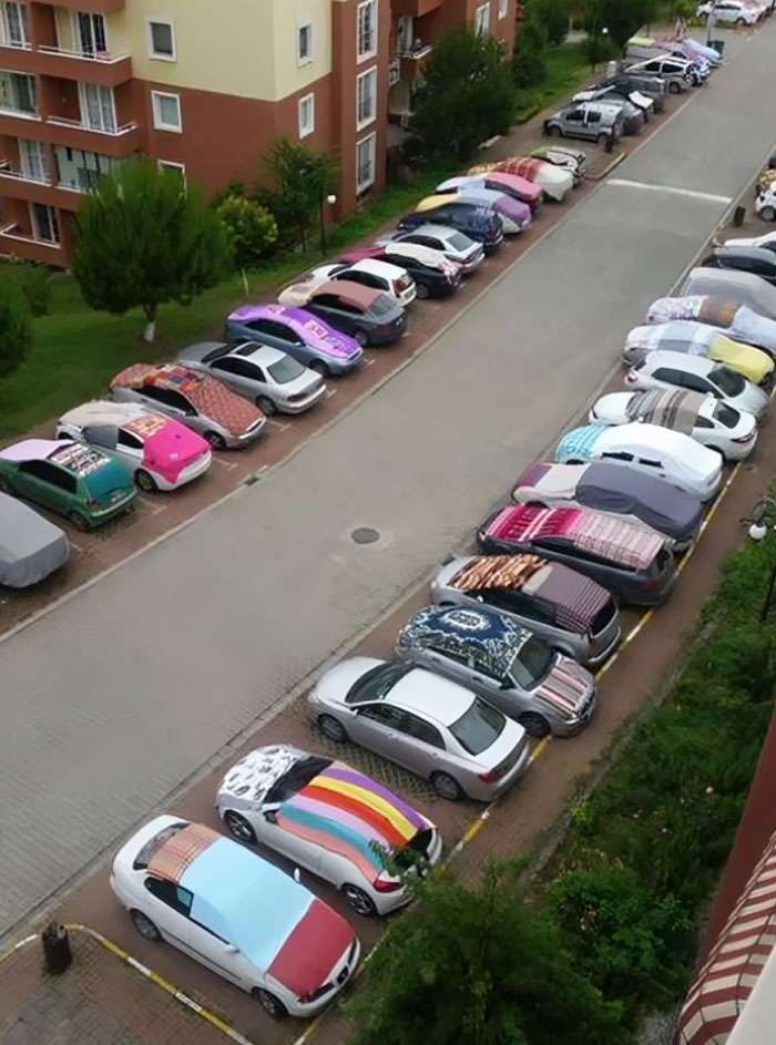 50 People Who Were Not Messing Around When Preparing For Severe Weather 50 People Who Were Not Messing Around When Preparing For Severe Weather