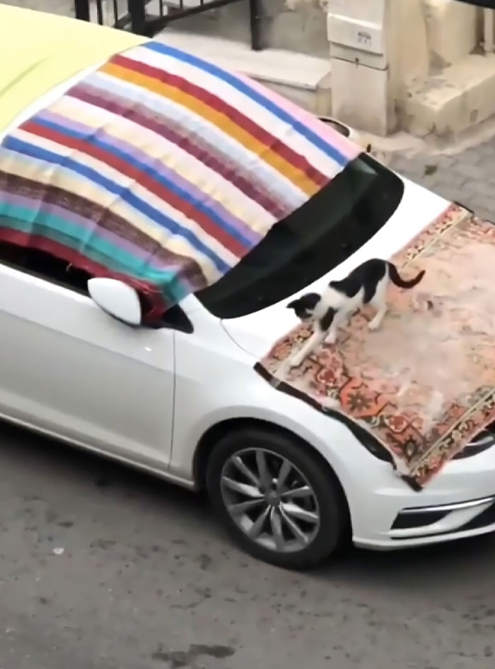 50 People Who Were Not Messing Around When Preparing For Severe Weather 50 People Who Were Not Messing Around When Preparing For Severe Weather