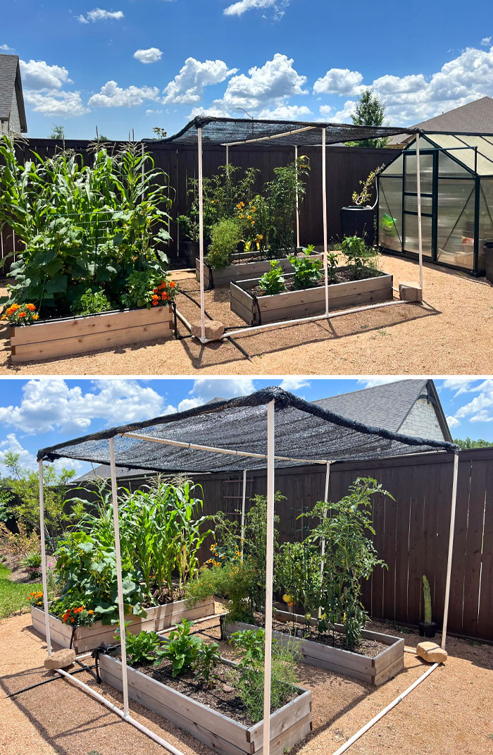 50 People Who Were Not Messing Around When Preparing For Severe Weather 50 People Who Were Not Messing Around When Preparing For Severe Weather