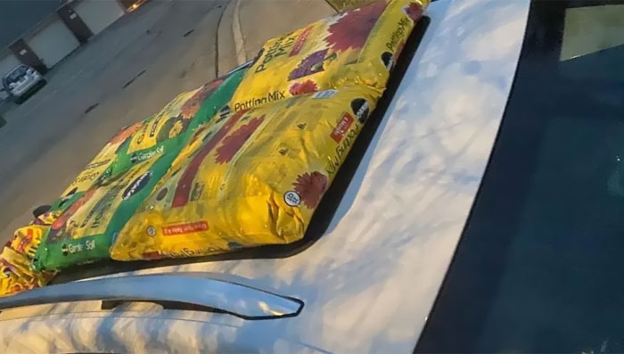 50 People Who Were Not Messing Around When Preparing For Severe Weather 50 People Who Were Not Messing Around When Preparing For Severe Weather