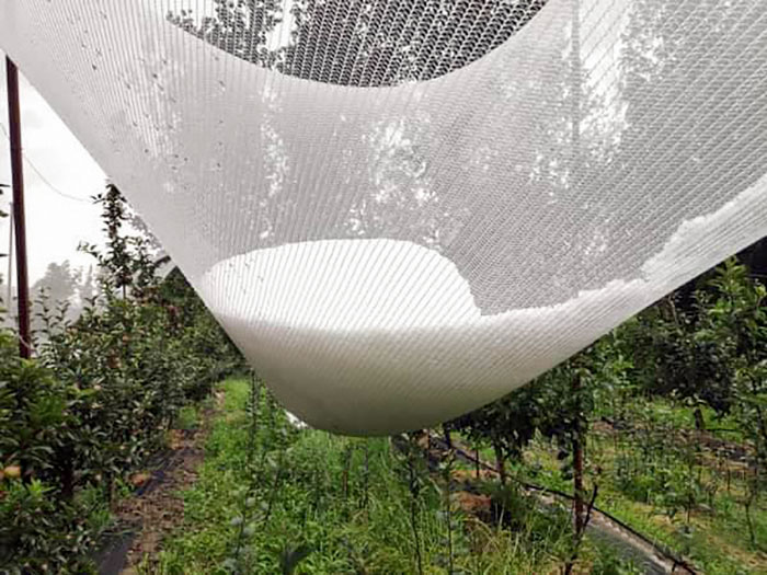 50 People Who Were Not Messing Around When Preparing For Severe Weather 50 People Who Were Not Messing Around When Preparing For Severe Weather