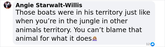 Netizens Can’t Get Enough Of This Walrus Who Was Given His Own Raft So He Would Stop Sinking Boats Netizens Can’t Get Enough Of This Walrus Who Was Given His Own Raft So He Would Stop Sinking Boats