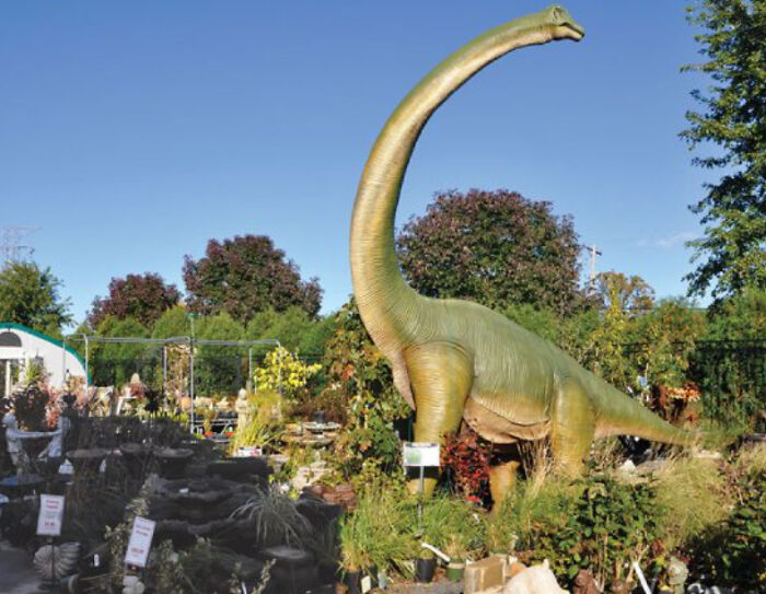 Hey Pandas, Take A Screenshot Of Anything (Closed) Hey Pandas, Take A Screenshot Of Anything (Closed)