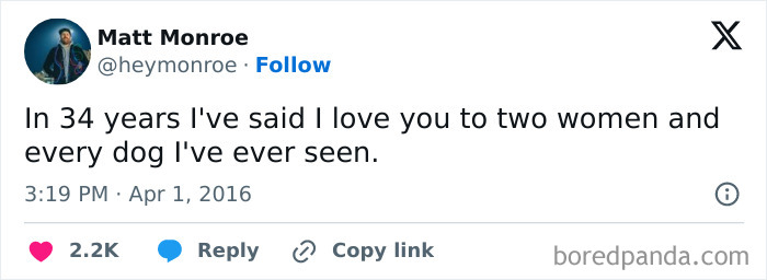 50 Of The Most Hilarious, Cute And Wholesome Posts On X About Dogs 50 Of The Most Hilarious, Cute And Wholesome Posts On X About Dogs