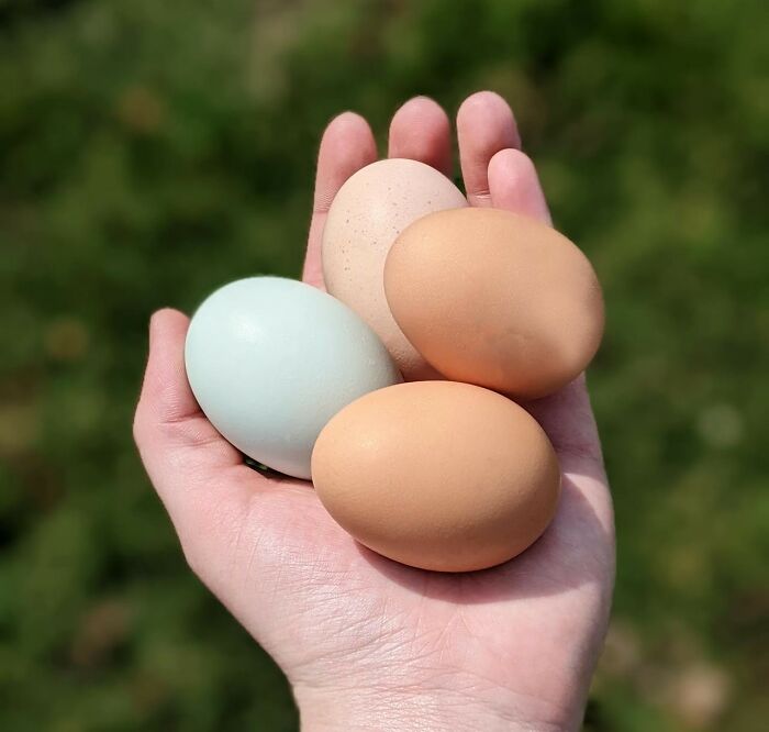 &ldquo;What&rsquo;s An Unwritten Rule In Your Household That Would Seem Bizarre To Outsiders?&rdquo; (50 Answers)