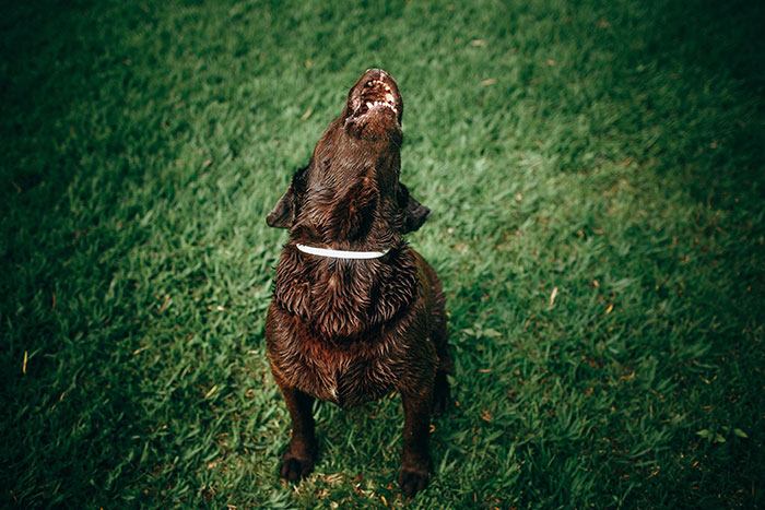 45 “Old Person” Hills That Millennials Are Also Willing To Die On 45 “Old Person” Hills That Millennials Are Also Willing To Die On