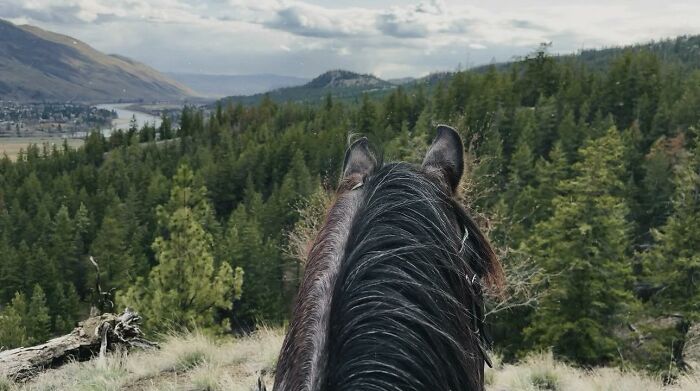 A Special Bond Between A Rescue Horse And His Owner’s Fiancé Is Melting Hearts On The Internet A Special Bond Between A Rescue Horse And His Owner’s Fiancé Is Melting Hearts On The Internet