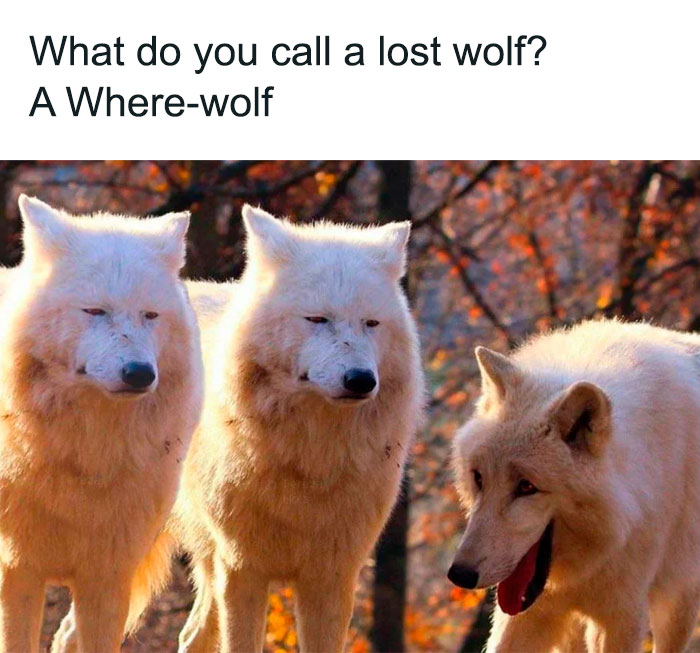 310 Dad Jokes That Will Make You Question Your Sense Of Humor 310 Dad Jokes That Will Make You Question Your Sense Of Humor