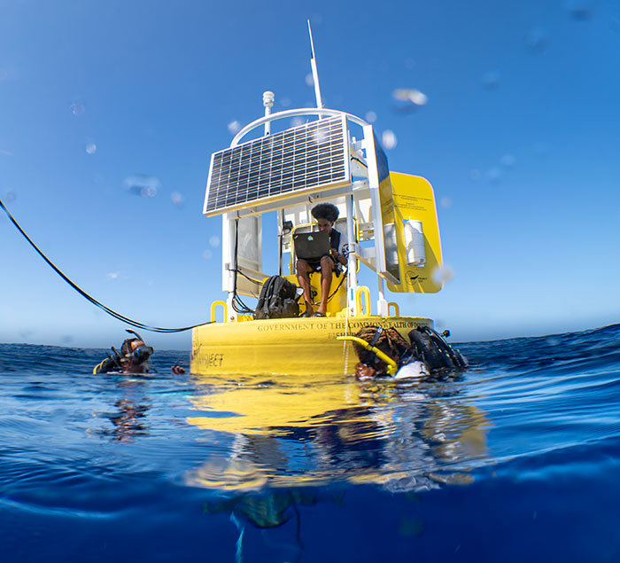 AI Is Translating Whale Language, Which May Help Us Communicate With Extraterrestrials One Day AI Is Translating Whale Language, Which May Help Us Communicate With Extraterrestrials One Day