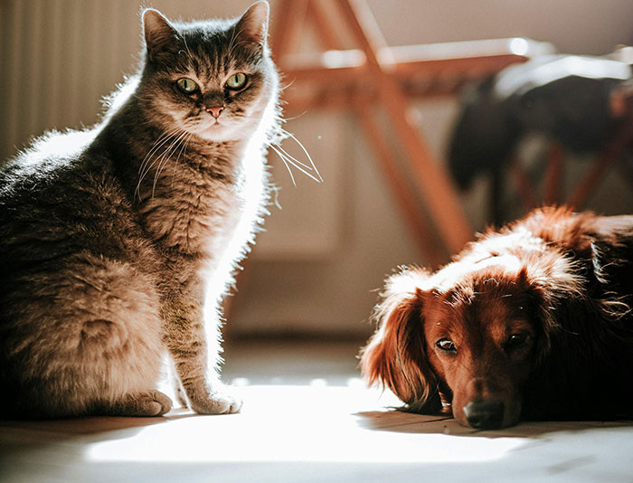 “No One Can Stop Me”: 40 People Confess To The Weirdest Things They Do Living Alone “No One Can Stop Me”: 40 People Confess To The Weirdest Things They Do Living Alone