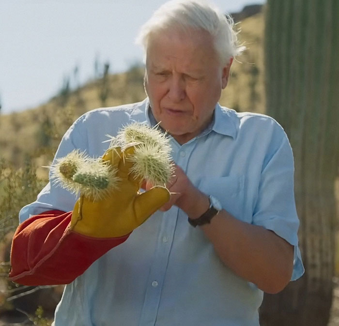 “No One Can Stop Me”: 40 People Confess To The Weirdest Things They Do Living Alone “No One Can Stop Me”: 40 People Confess To The Weirdest Things They Do Living Alone