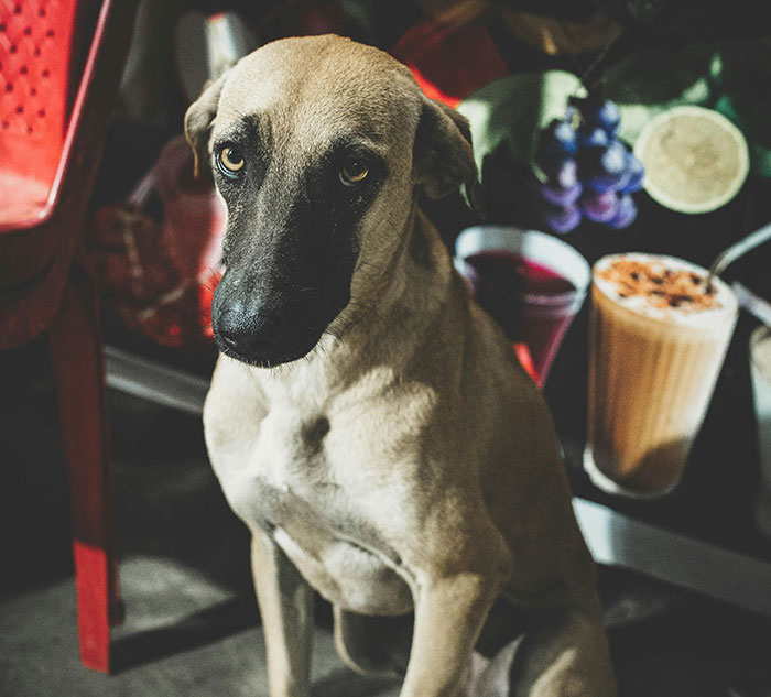 “No One Can Stop Me”: 40 People Confess To The Weirdest Things They Do Living Alone “No One Can Stop Me”: 40 People Confess To The Weirdest Things They Do Living Alone