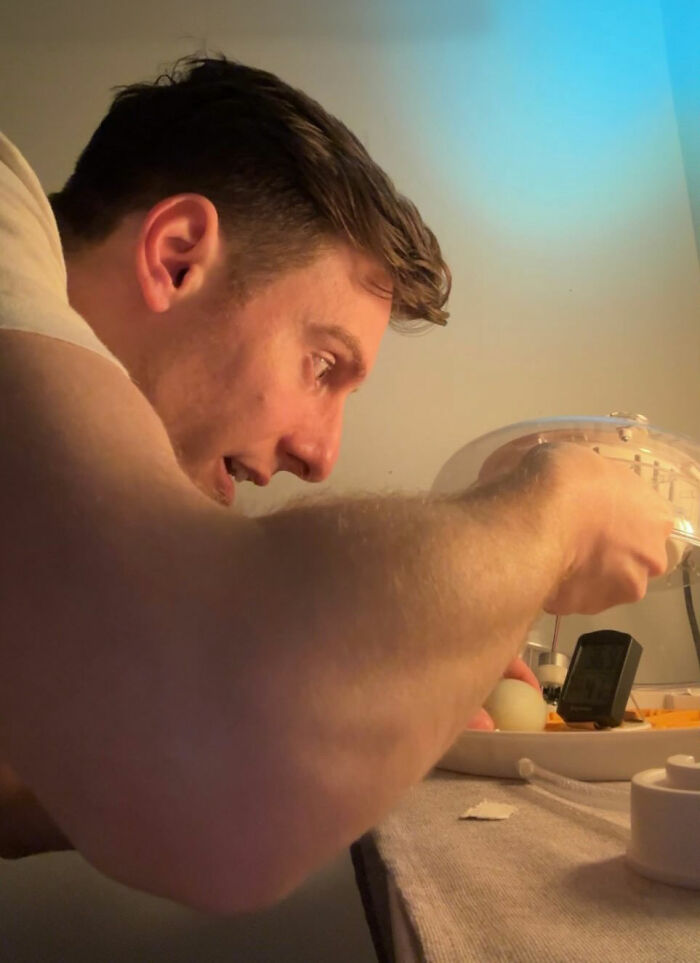 Man Found An Abandoned Egg And Decided To Take It Home, Hatching A New Friendship Man Found An Abandoned Egg And Decided To Take It Home, Hatching A New Friendship