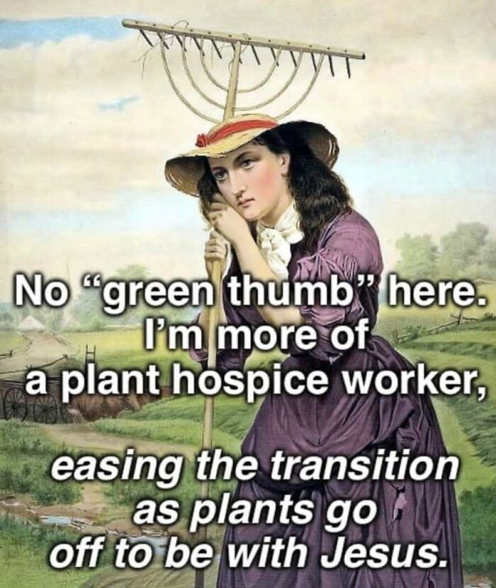 40 Classical Art Memes That Are Too Funny To Not Spend A Few Moments On 40 Classical Art Memes That Are Too Funny To Not Spend A Few Moments On