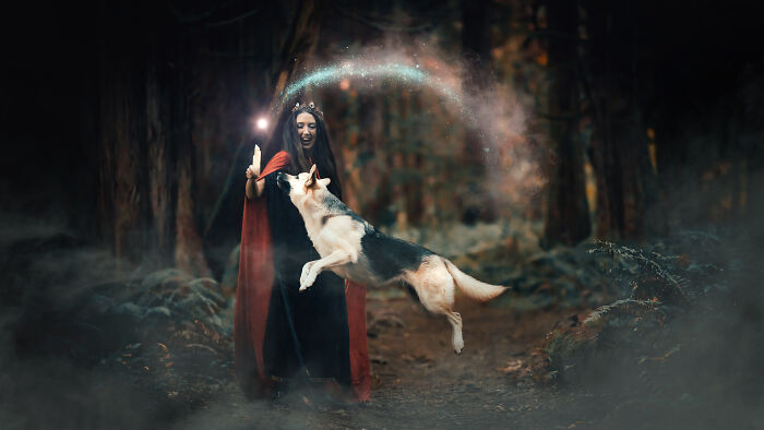 I Photographed A Fairytale-Inspired, Witchy Dog Session Inspired By Red Riding Hood (15 Pics) I Photographed A Fairytale-Inspired, Witchy Dog Session Inspired By Red Riding Hood (15 Pics)