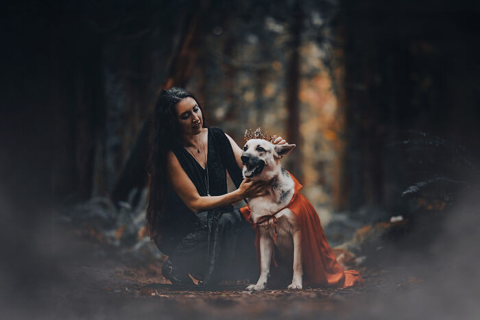 I Photographed A Fairytale-Inspired, Witchy Dog Session Inspired By Red Riding Hood (15 Pics) I Photographed A Fairytale-Inspired, Witchy Dog Session Inspired By Red Riding Hood (15 Pics)