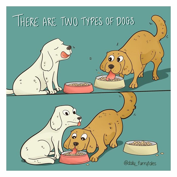 “Daily Furry Tales” Shares 30 New Comics Showing The Everyday Joys Of Living With Dogs “Daily Furry Tales” Shares 30 New Comics Showing The Everyday Joys Of Living With Dogs