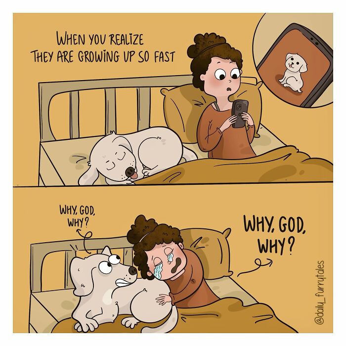 “Daily Furry Tales” Shares 30 New Comics Showing The Everyday Joys Of Living With Dogs “Daily Furry Tales” Shares 30 New Comics Showing The Everyday Joys Of Living With Dogs