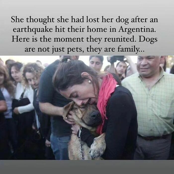 50 Hilarious Pics That Prove Why Dogs Are Man’s Best Friend 50 Hilarious Pics That Prove Why Dogs Are Man’s Best Friend