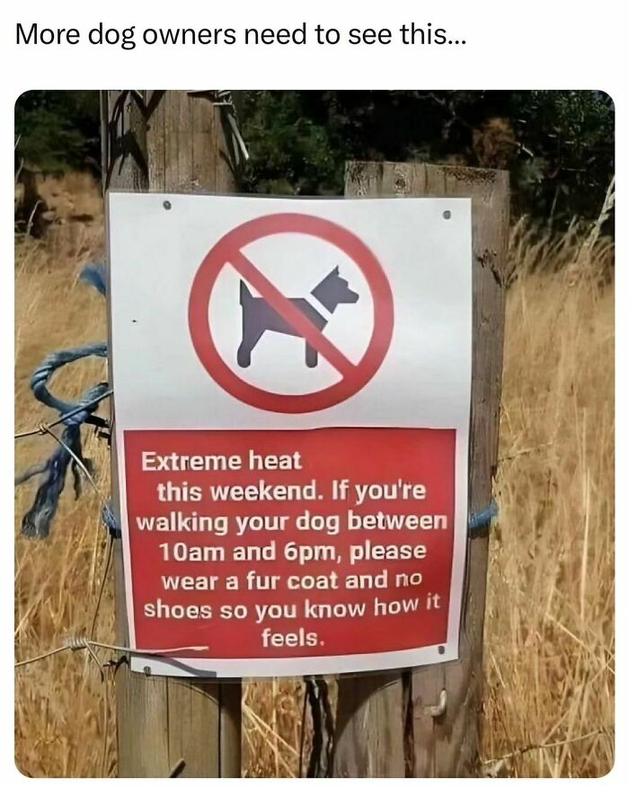 50 Hilarious Pics That Prove Why Dogs Are Man’s Best Friend 50 Hilarious Pics That Prove Why Dogs Are Man’s Best Friend