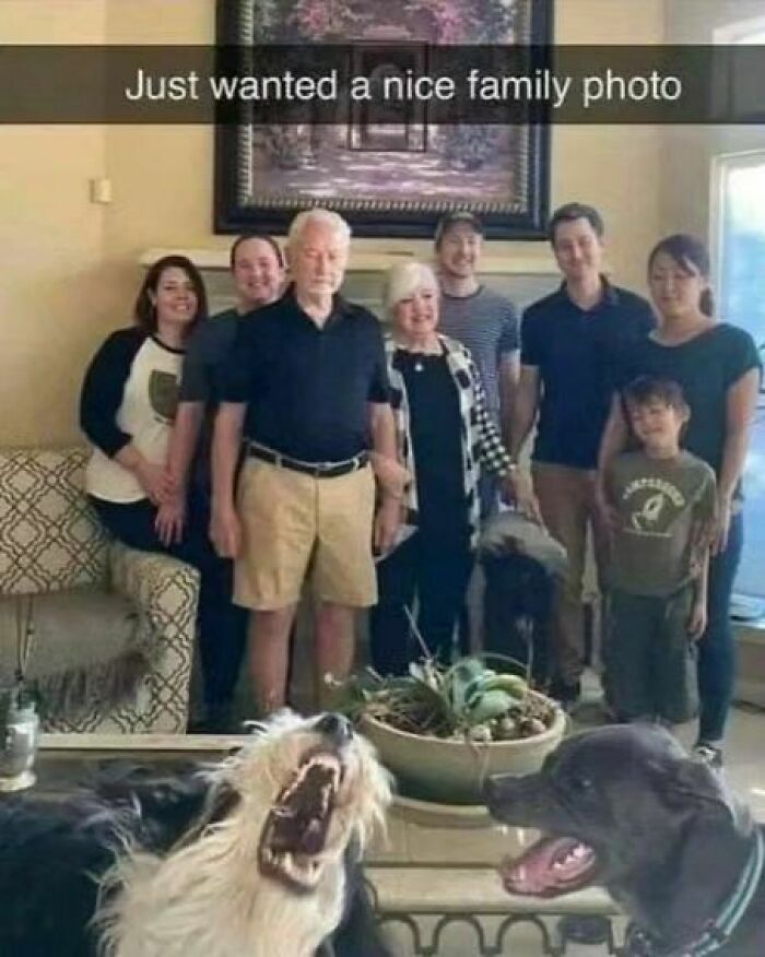 50 Hilarious Pics That Prove Why Dogs Are Man’s Best Friend 50 Hilarious Pics That Prove Why Dogs Are Man’s Best Friend