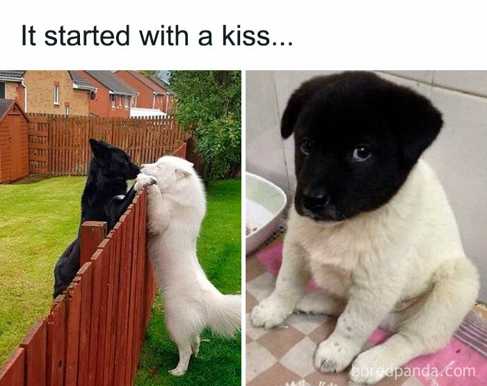 50 Random Memes That Have No Business Being This Funny