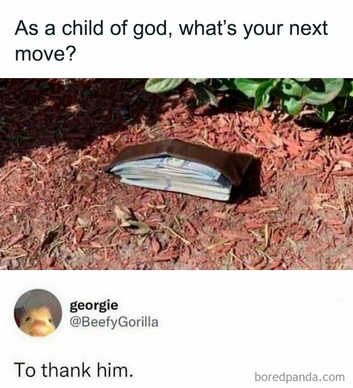 50 Random Memes That Have No Business Being This Funny