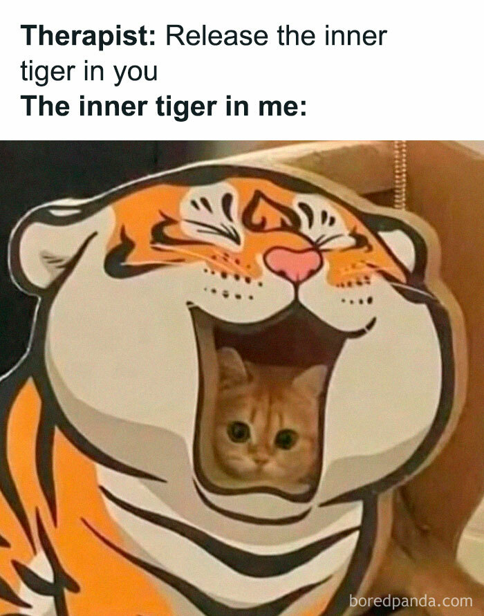 50 Random Memes That Have No Business Being This Funny