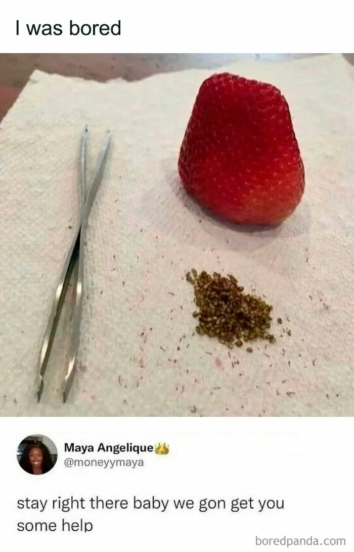 50 Random Memes That Have No Business Being This Funny 50 Random Memes That Have No Business Being This Funny