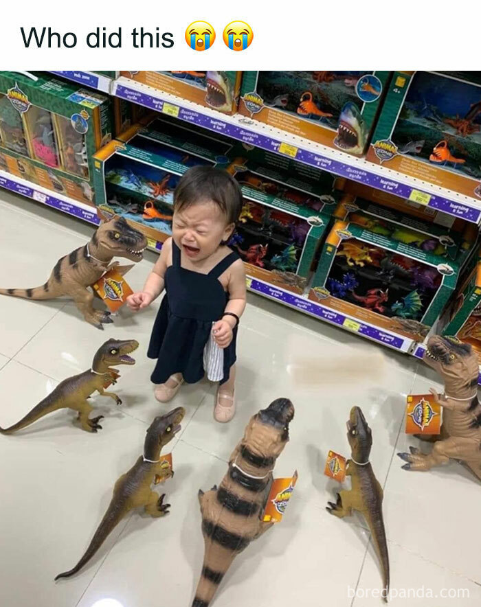 50 Random Memes That Have No Business Being This Funny