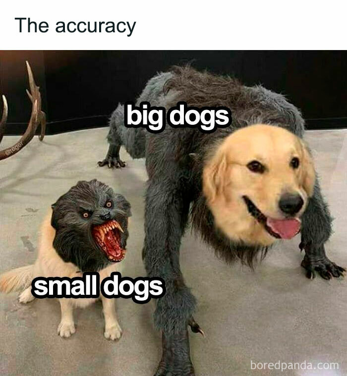 50 Random Memes That Have No Business Being This Funny