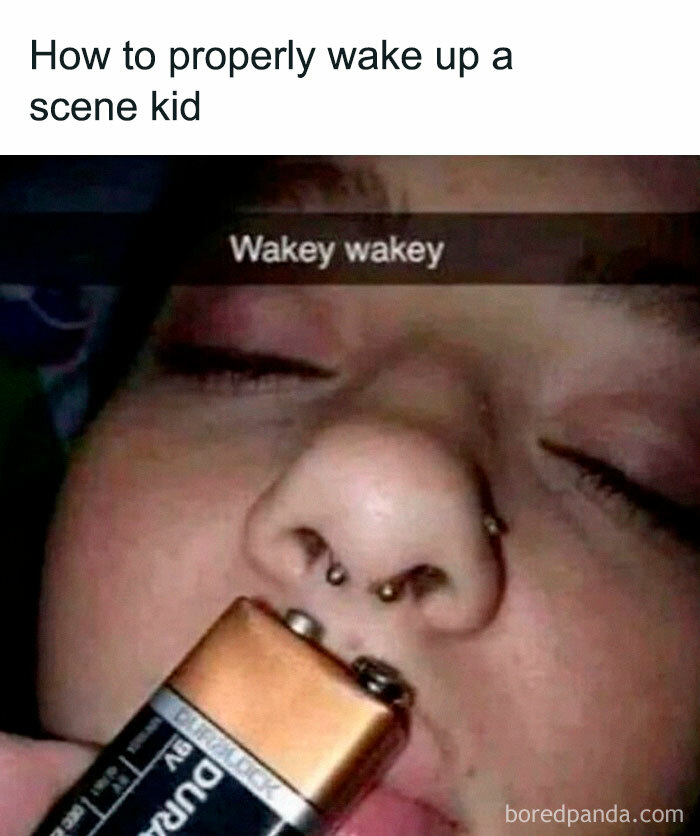 50 Random Memes That Have No Business Being This Funny