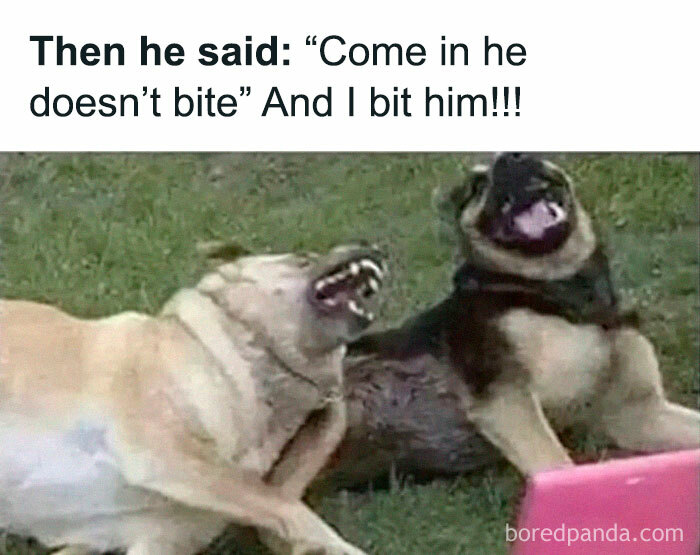 50 Random Memes That Have No Business Being This Funny