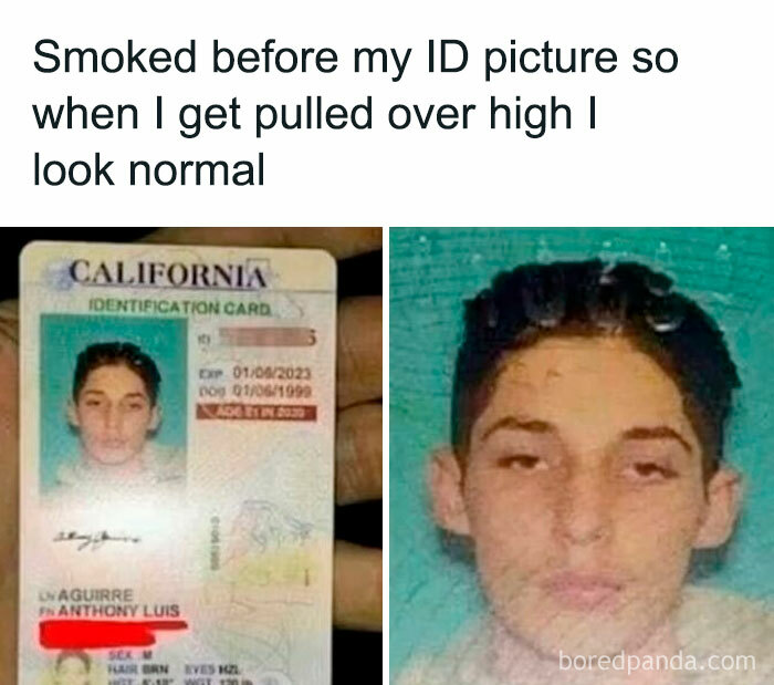 50 Random Memes That Have No Business Being This Funny