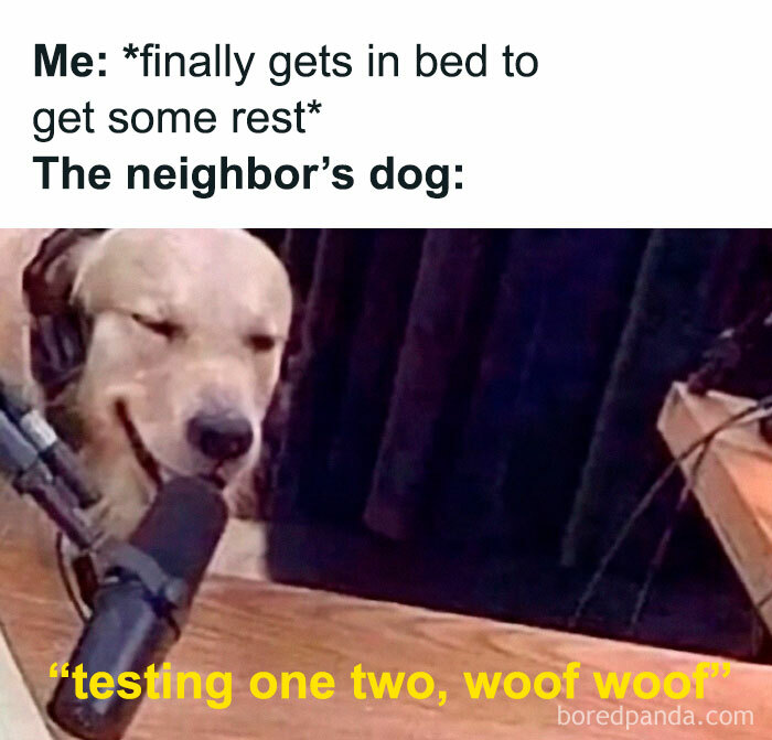 50 Random Memes That Have No Business Being This Funny