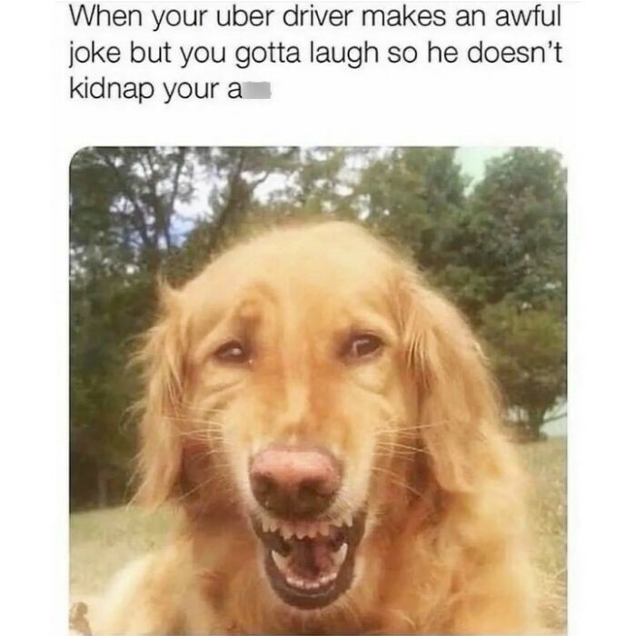 50 Random Memes That Have No Business Being This Funny