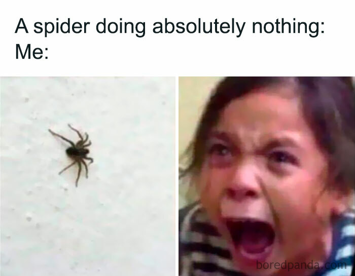 50 Random Memes That Have No Business Being This Funny