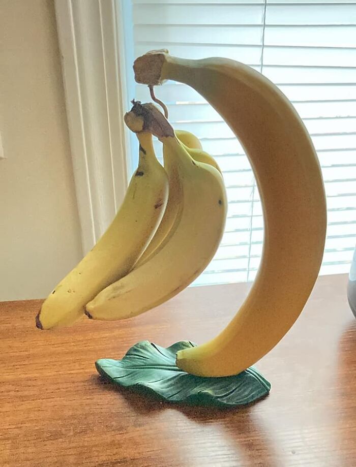 30 Times People Struck Gold When Shopping Secondhand 30 Times People Struck Gold When Shopping Secondhand