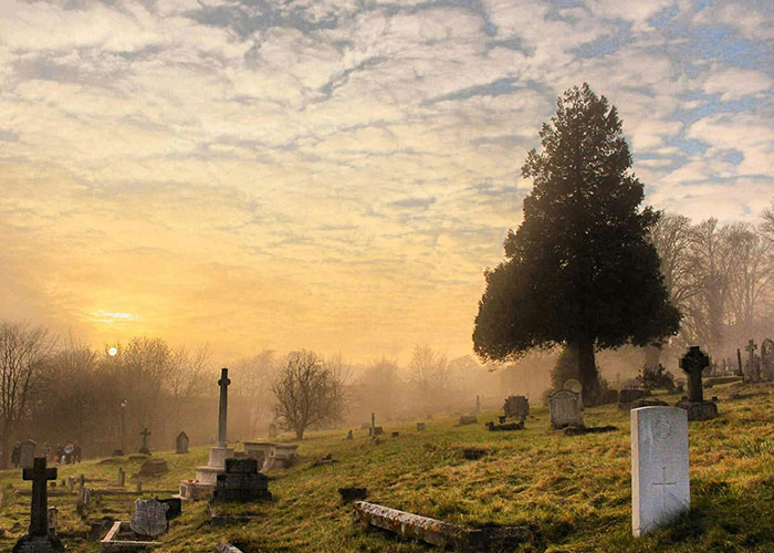 People Share 30 Things That Are True, But No One Wants To Say Out Loud People Share 30 Things That Are True, But No One Wants To Say Out Loud