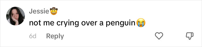 Periwinkle The Penguin Takes Over The Internet As He Thrives After A Rough Start, Defying All Odds Periwinkle The Penguin Takes Over The Internet As He Thrives After A Rough Start, Defying All Odds