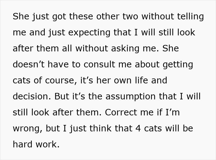 Woman Assumes Sis Will Look After Her 4 Cats While She’s On Holiday, But She Doesn’t Want To Woman Assumes Sis Will Look After Her 4 Cats While She’s On Holiday, But She Doesn’t Want To