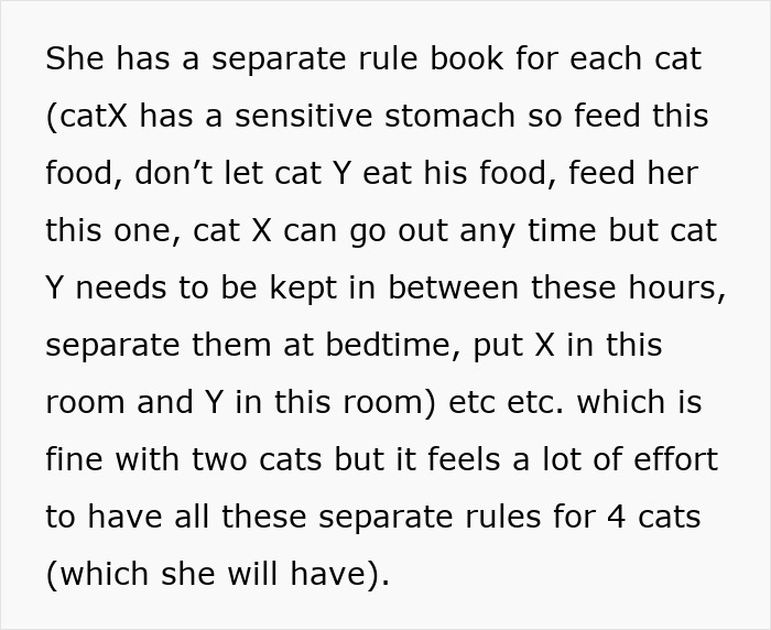 Woman Assumes Sis Will Look After Her 4 Cats While She’s On Holiday, But She Doesn’t Want To Woman Assumes Sis Will Look After Her 4 Cats While She’s On Holiday, But She Doesn’t Want To