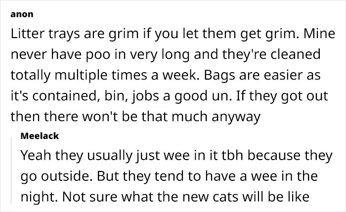 Woman Assumes Sis Will Look After Her 4 Cats While She’s On Holiday, But She Doesn’t Want To Woman Assumes Sis Will Look After Her 4 Cats While She’s On Holiday, But She Doesn’t Want To