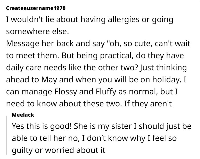 Woman Assumes Sis Will Look After Her 4 Cats While She’s On Holiday, But She Doesn’t Want To Woman Assumes Sis Will Look After Her 4 Cats While She’s On Holiday, But She Doesn’t Want To