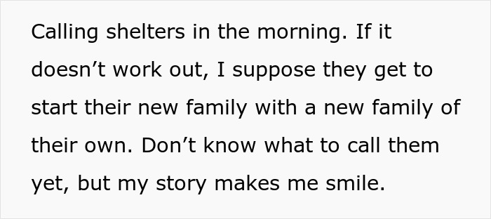 Man Goes For A Walk In The Forest, Returns With A Couple Of Beagles He Found Stuck On A Cliff Man Goes For A Walk In The Forest, Returns With A Couple Of Beagles He Found Stuck On A Cliff
